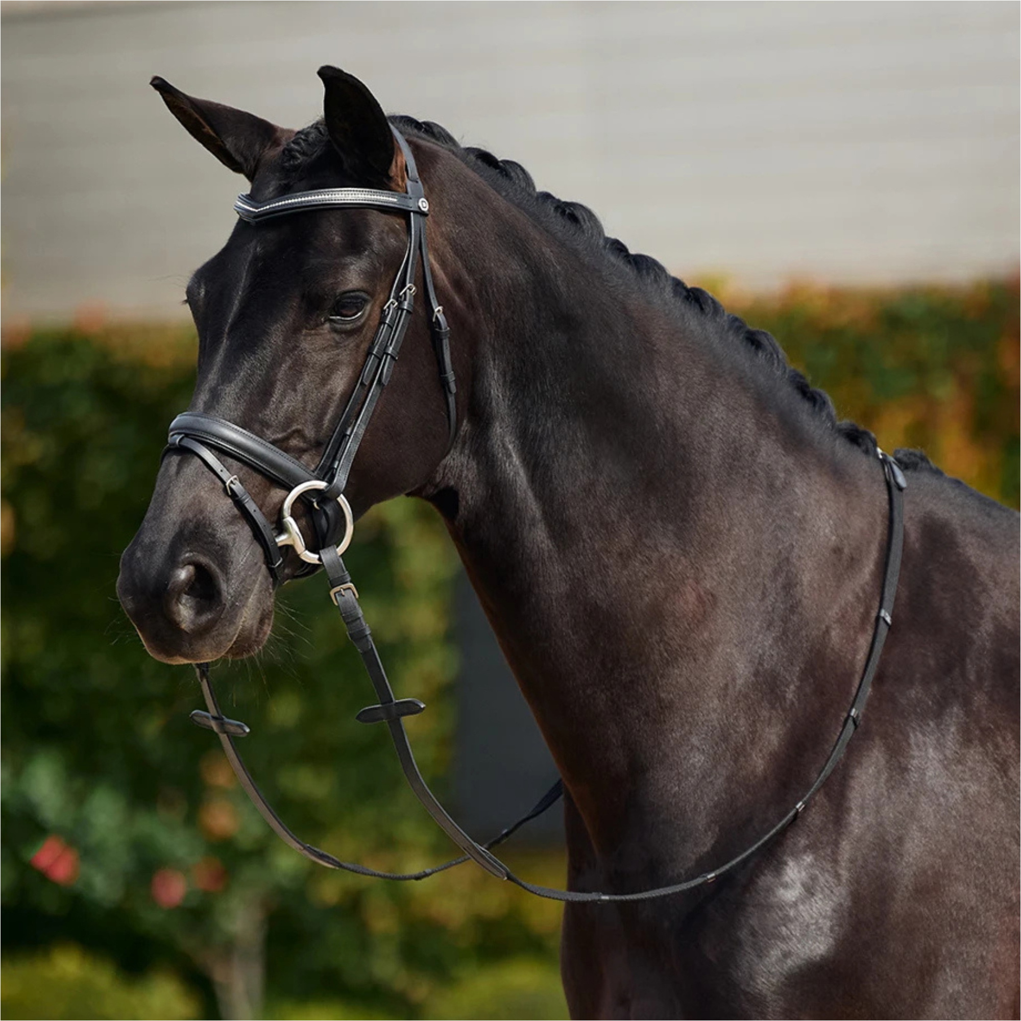 2026 Dublin Padded Comfort Crown Crystal Flash Bridle 1031500 - Black